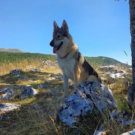 La Tana Del Lupo Pet Free Terminillo